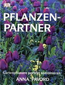 Pflanzenpartner: Gartenpflanzen perfekt kombinieren