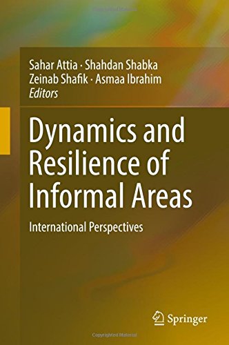 Dynamics and Resilience of Informal Areas: International Perspectives