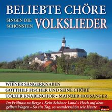 Beliebte Chöre Singen die Schönsten Volkslieder u.a. Wiener Sängerknaben, Gotthilf Fischer Chöre, Tölzer Kanbenchor, Mainzer Hofsänger ..)