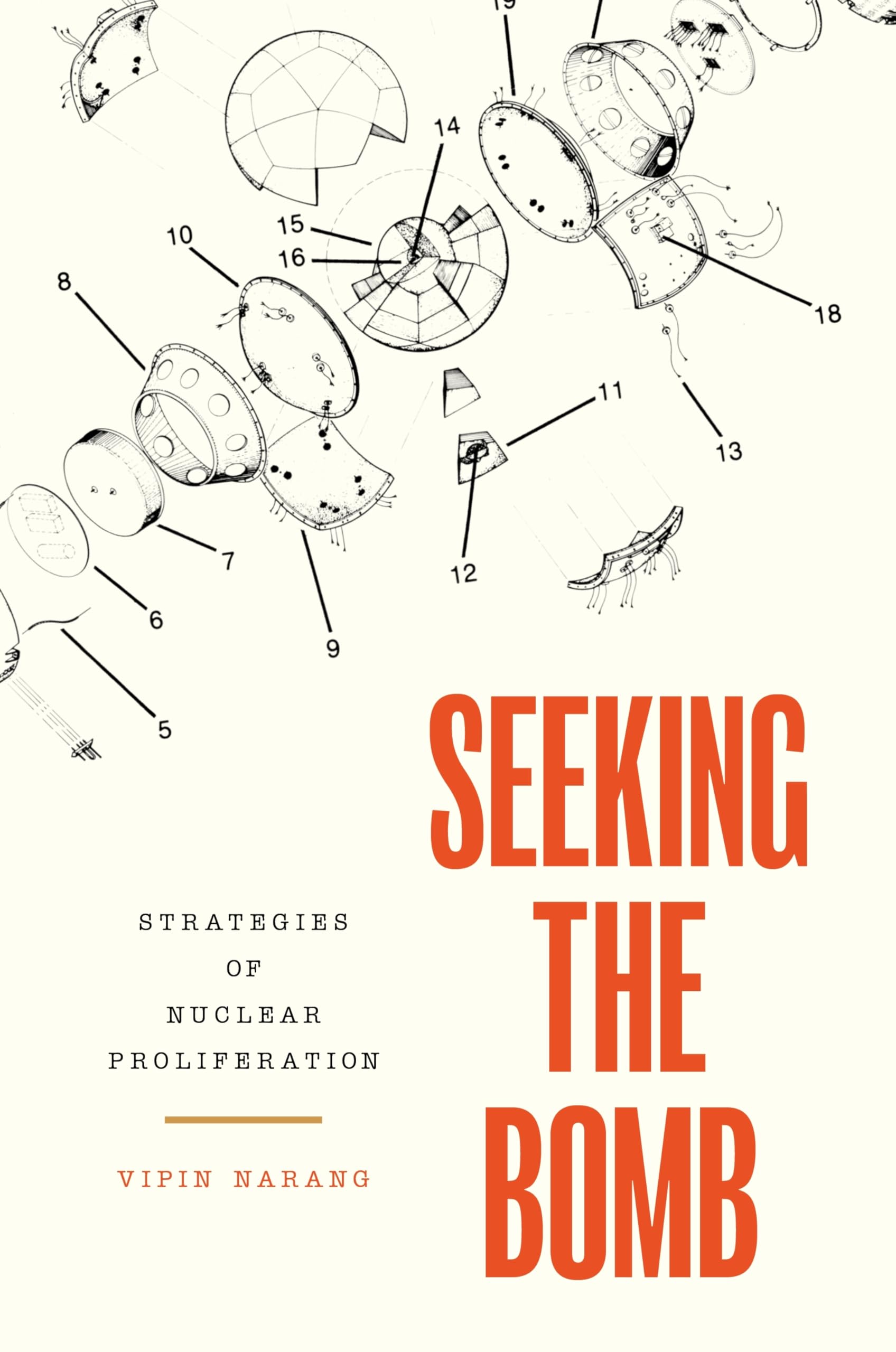 Seeking the Bomb: Strategies of Nuclear Proliferation (Princeton Studies in International History and Politics, 188)
