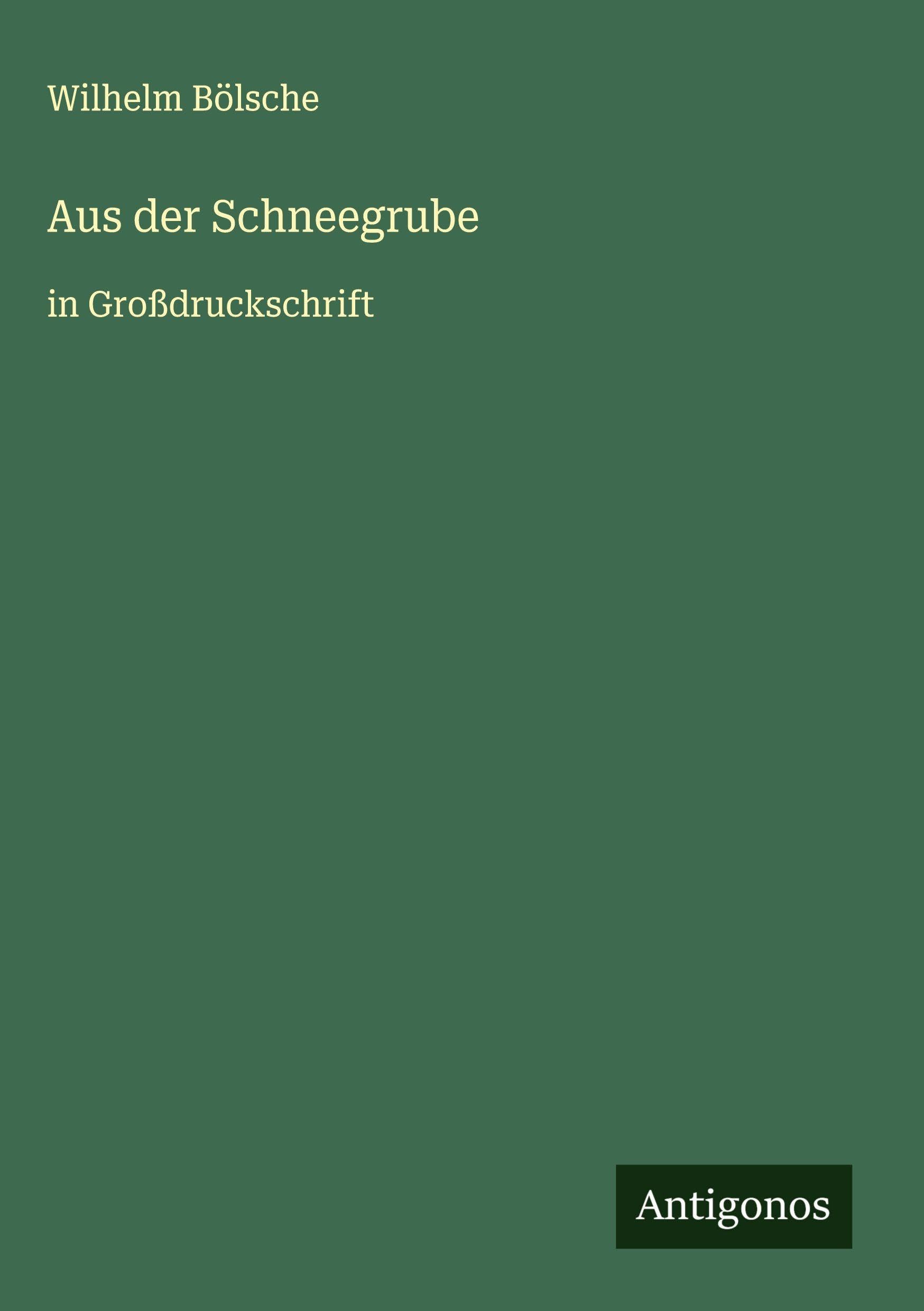 Aus der Schneegrube: in Großdruckschrift