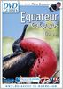 Equateur, galapagos : la purete originelle 
