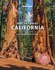 Lonely Planet Best Day Walks California (Travel Guide)