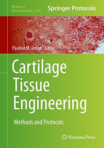 Cartilage Tissue Engineering: Methods and Protocols (Methods in Molecular Biology)
