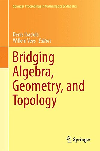 Bridging Algebra, Geometry, and Topology (Springer Proceedings in Mathematics & Statistics)