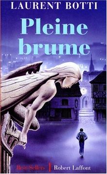 Pleine brume