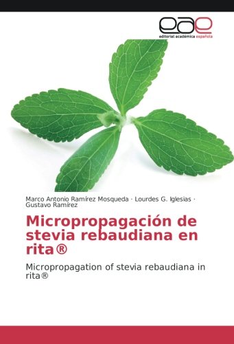 Micropropagación de stevia rebaudiana en rita®: Micropropagation of stevia rebaudiana in rita®
