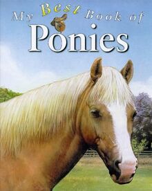 My Best Book of Ponies