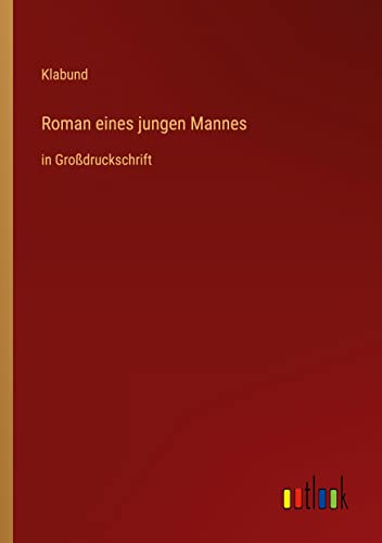Roman eines jungen Mannes: in Großdruckschrift