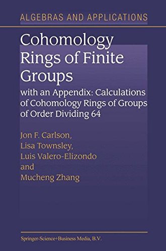 Cohomology Rings of Finite Groups: With an Appendix: Calculations of Cohomology Rings of Groups of Order Dividing 64 (Algebra and Applications)