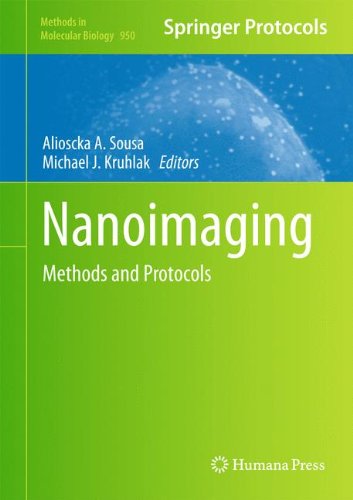 Nanoimaging: Methods and Protocols (Methods in Molecular Biology)