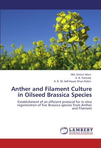 Anther and Filament Culture in Oilseed Brassica Species: Establishment of an efficient protocol for in vitro regeneration of five Brassica species from Anther and Filament