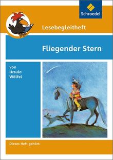 Lesebegleithefte zu Ihrer Klassenlektüre: Lesebegleitheft zum Titel Fliegender Stern von Ursula Wölfel: Einzelheft