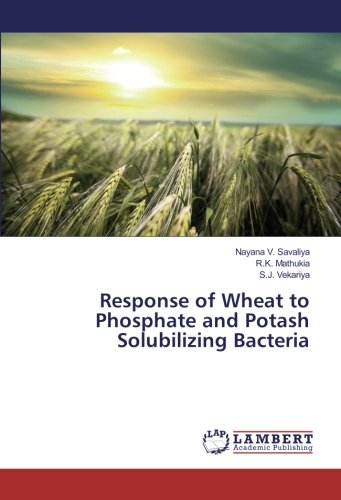 Response of Wheat to Phosphate and Potash Solubilizing Bacteria