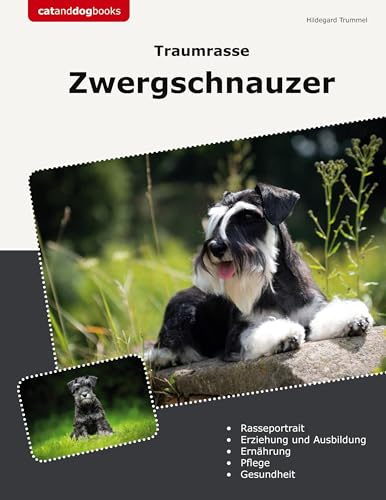 Traumrasse Zwergschnauzer