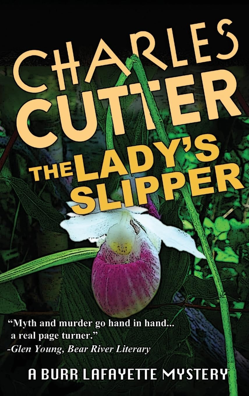 The Lady's Slipper: Murder in Harbor Springs (Burr Lafayette Mystery, Band 6)