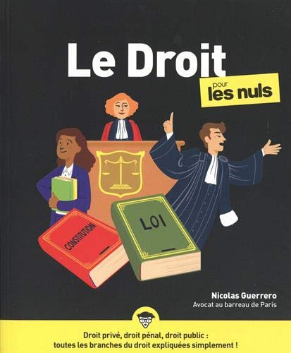 Le Droit Pour les Nuls NE - Image 3
