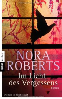 Im Licht des Vergessens: Roman