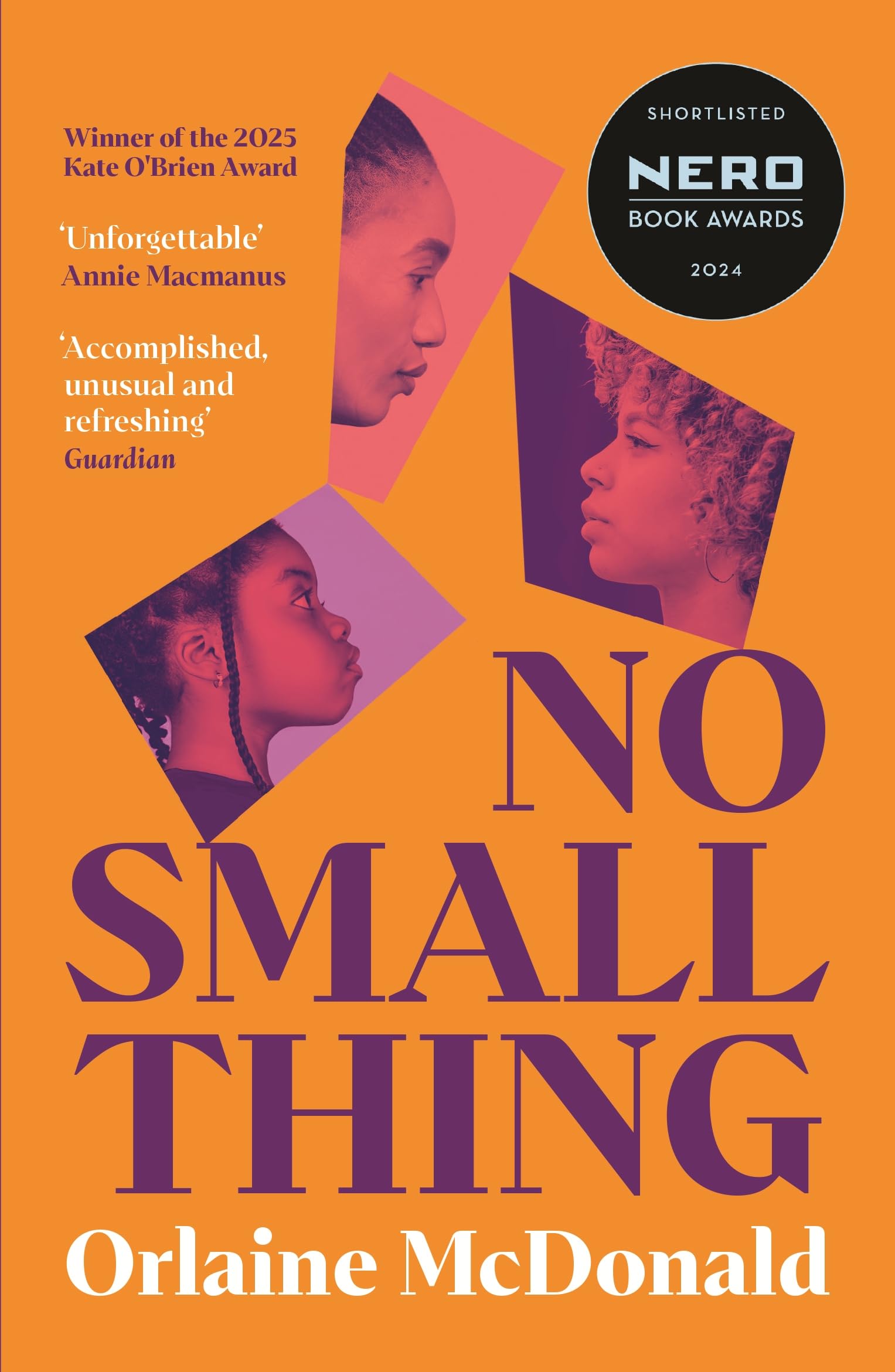 No Small Thing: 'One of the best debut novels I’ve read in recent years' Bernardine Evaristo