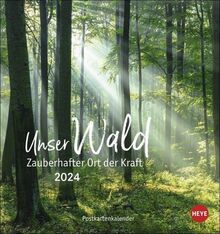 Unser Wald Postkartenkalender 2024: zauberhafter Ort der Kraft