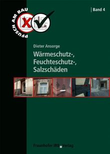 Wärmeschutz-, Feuchteschutz-, Salzschäden