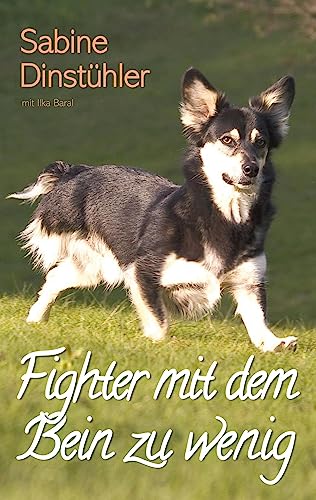 Fighter mit dem Bein zu wenig