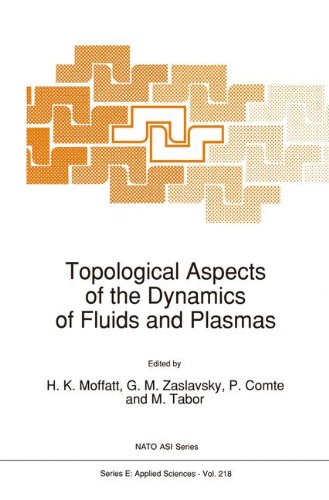 Topological Aspects of the Dynamics of Fluids and Plasmas: Proceedings of the Program of the Institute for Theoretical Physics, University of ... 1-5, 1991 (Nato Science Series E:)