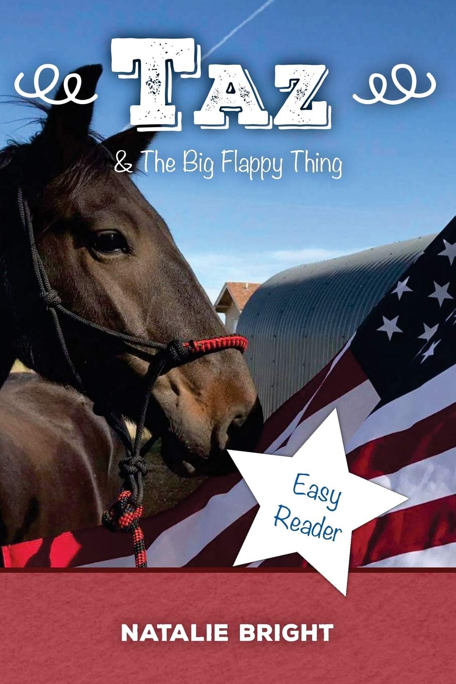 Taz & The Big Flappy Thing (Rescue Animal, Band 5)