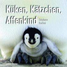 Küken, Kätzchen, Affenkind