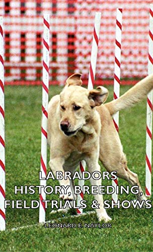 Labradors - History, Breeding, Field Trials & Shows