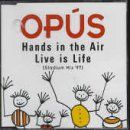 Hands in the Air