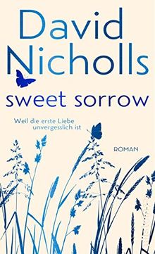 Sweet Sorrow: Weil die erste Liebe unvergesslich ist von Nicholls, David | Buch | Zustand akzeptabel