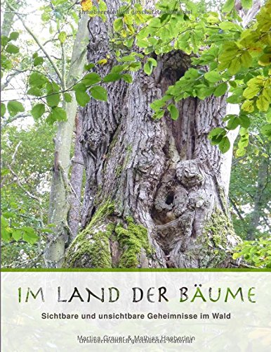 Im Land der Bäume: Sichtbare und unsichtbare Geheimnisse im Wald