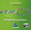LINDER Biologie: Proteinbiosynthese
