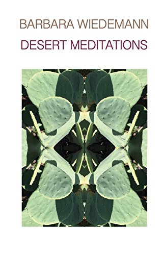 DESERT MEDITATIONS