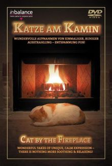 Katze am Kamin