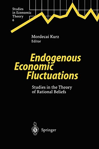 Endogenous Economic Fluctuations: Studies in the Theory of Rational Beliefs (Studies in Economic Theory) (Studies in Economic Theory, 6, Band 6)