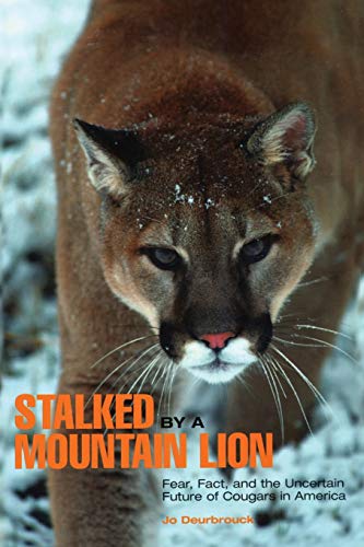 Stalked by a Mountain Lion: Fear, Fact, And The Uncertain Future Of Cougars In America, First Edition