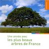 Une année avec les plus beaux arbres de France