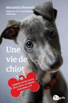 Une vie de chiot: Comment votre chien développe sa propre personnalité