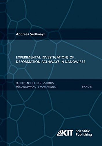 Experimental Investigations of Deformation Pathways in Nanowires: Schriftenreihe des Instituts für Angewandte Materialien (Schriftenreihe des ... Karlsruher Institut für Technologie)