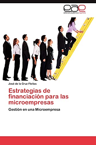 Estrategias de financiación para las microempresas: Gestión en una Microempresa