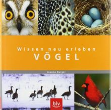 Wissen neu erleben: Vögel