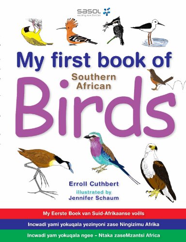 My First Book Of Southern African Birds English Edition Von Erroll Cuthbert