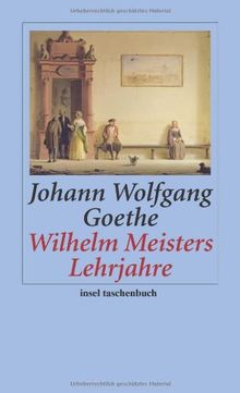 Wilhelm Meisters Lehrjahre: Ein Roman (insel taschenbuch)