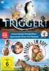 Rettet Trigger! / Nur Pferde im Kopf (Doppelbox) [2 DVDs]