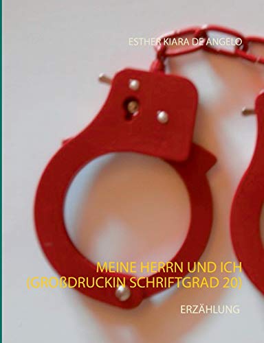 Meine Herrn und ich (Großdruck in Schriftgrad 20): Erzählung