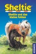 Sheltie und das kleine Fohlen