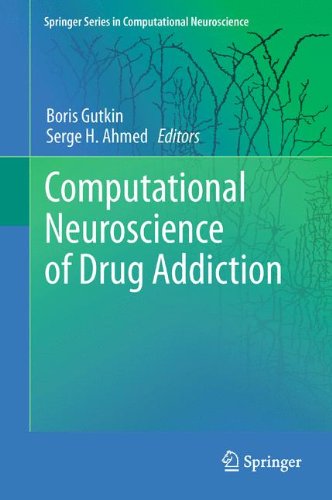 Computational Neuroscience of Drug Addiction (Springer Series in Computational Neuroscience)