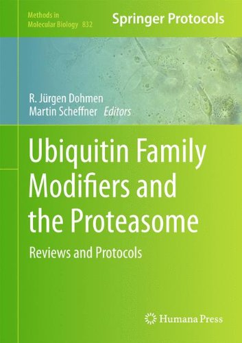 Ubiquitin Family Modifiers and the Proteasome: Reviews and Protocols (Methods in Molecular Biology)